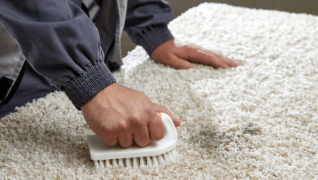 Professional Rug Cleaning Darley